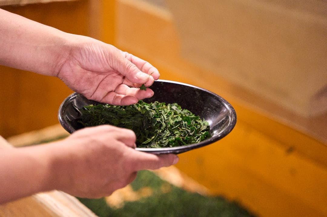 【5缶セット】京都和束町産のオーガニック抹茶缶（シングルオリジン）