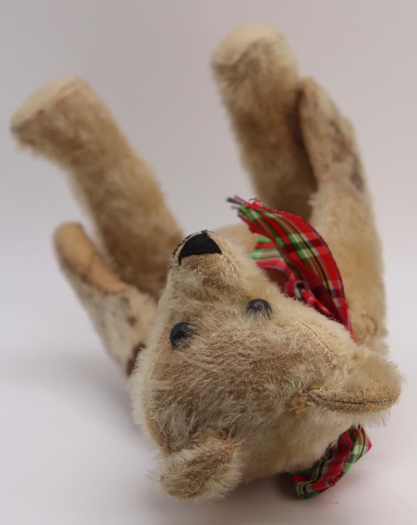 タンブリング・ベア（アクロバット・ベア）26cm Schuco?　壊れて不動です