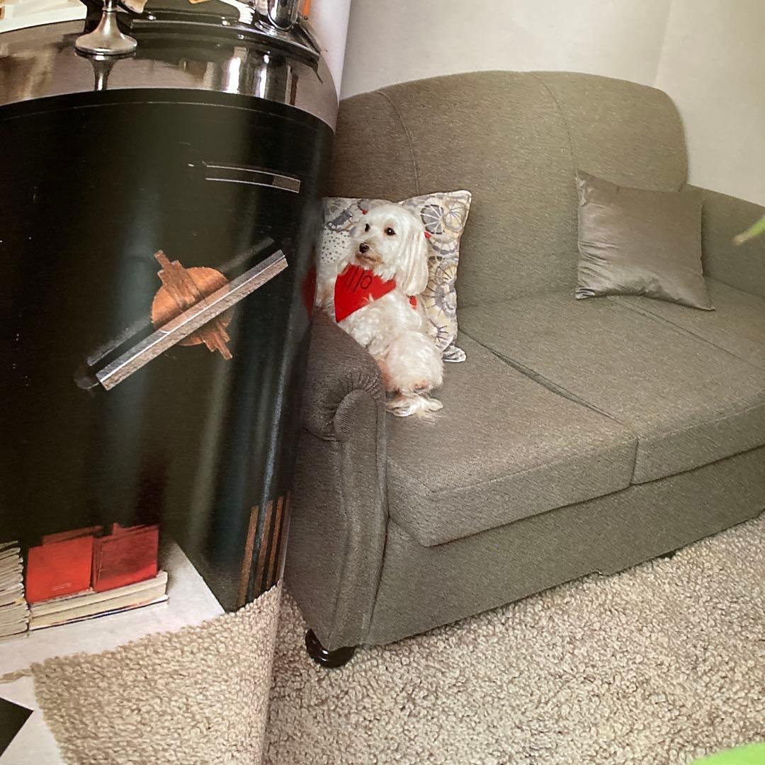 1984年（昭和59年）YMO BOOK OMIYAGE 小学館GORO特別編集