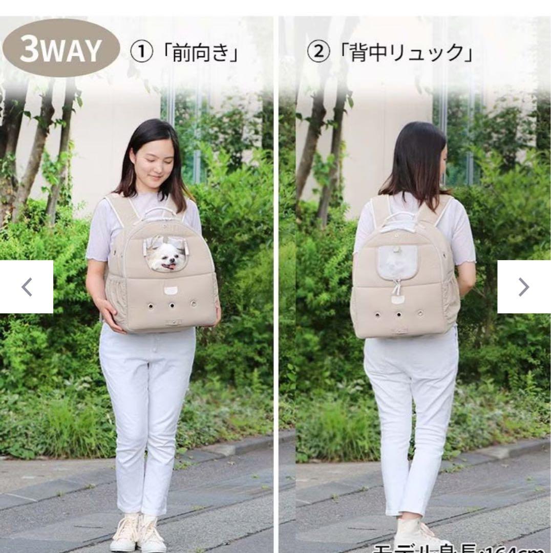 みやもと　みかん さま、専用　PET PARADISE