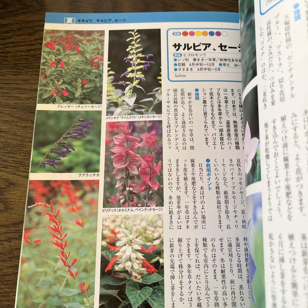 色がわかる四季の花図鑑