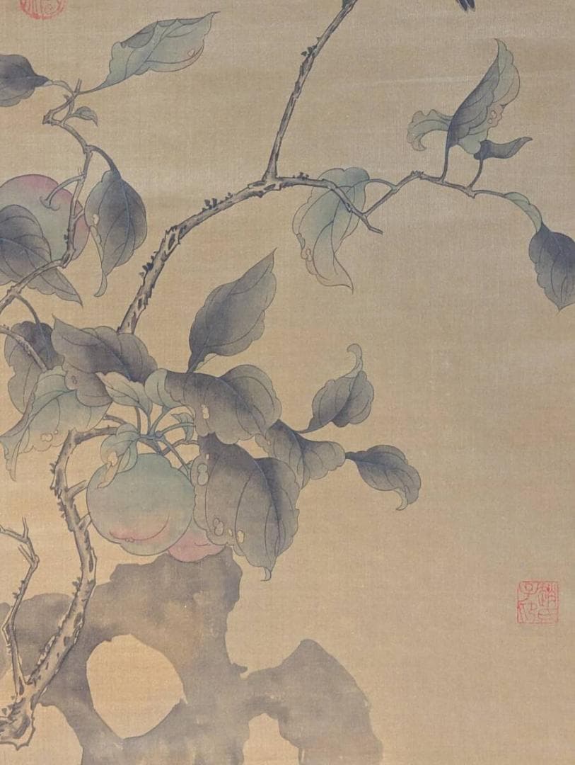 【真作】掛軸　柿に小鳥図　秋の風情漂う雅な花鳥画　U153