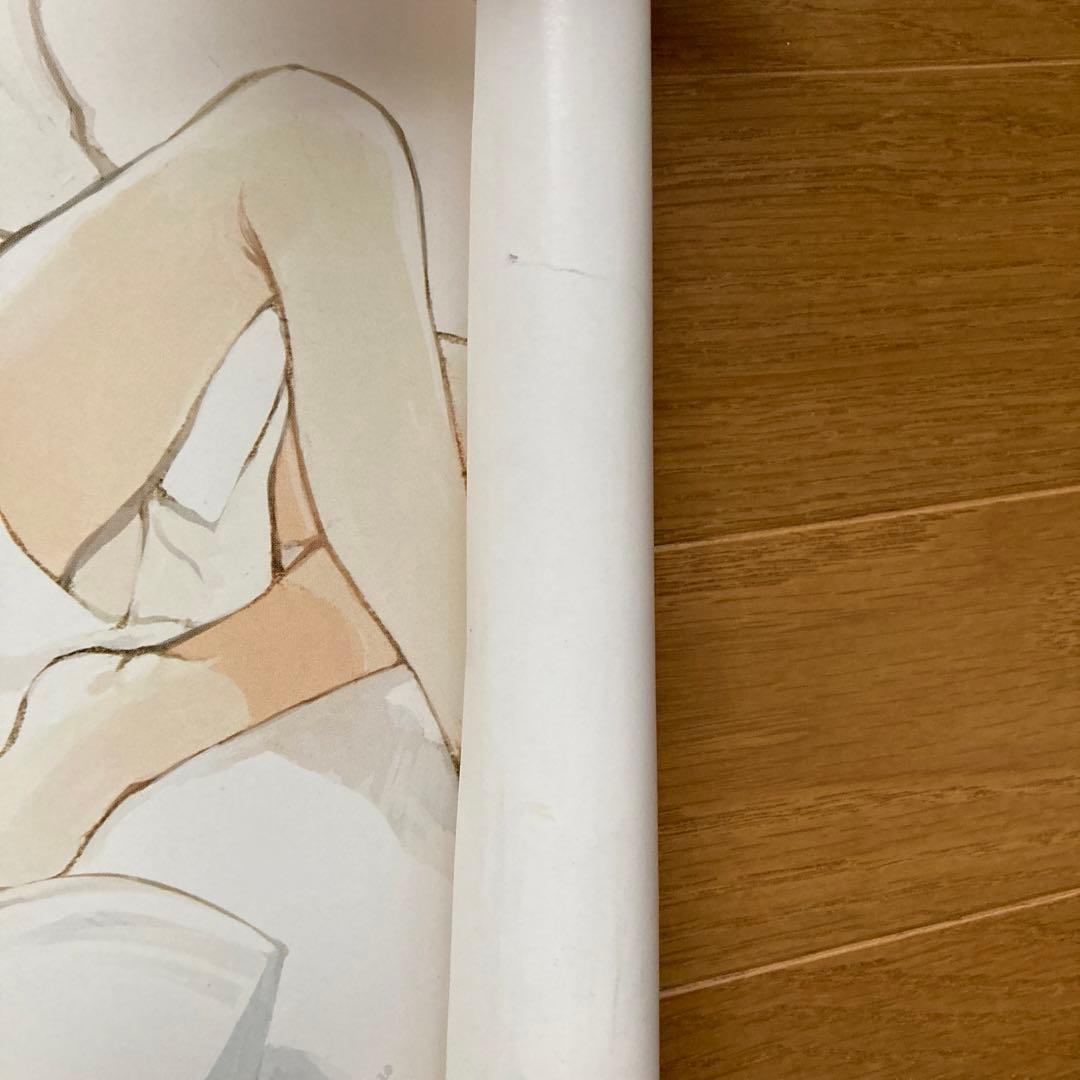 未使用　Hudson 北へ。White Illumination ポスター