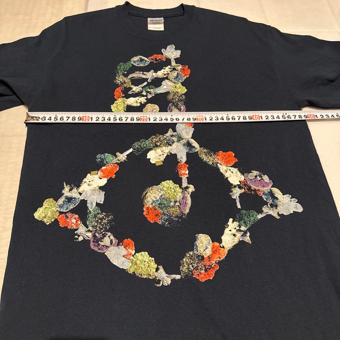 Bjork ビョークTシャツ Mサイズ ヴィンテージ　フジロック