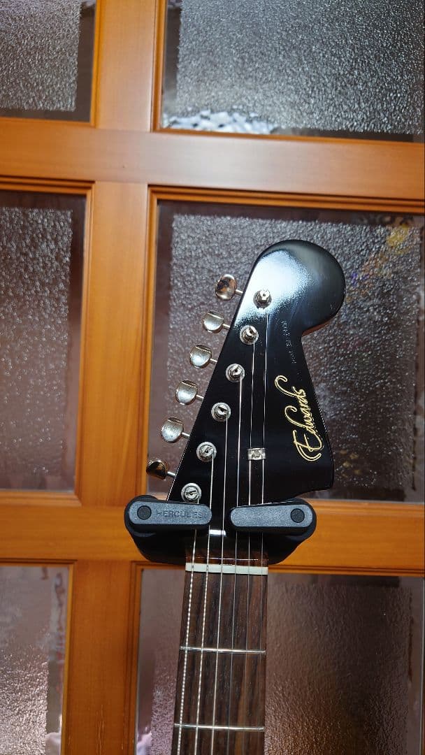 【SUGIZOモデル】E-JG SGZ Custom -JGM- (BK)