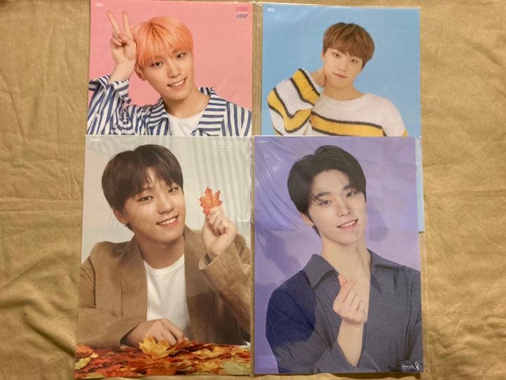 SEVENTEEN ディノ セット