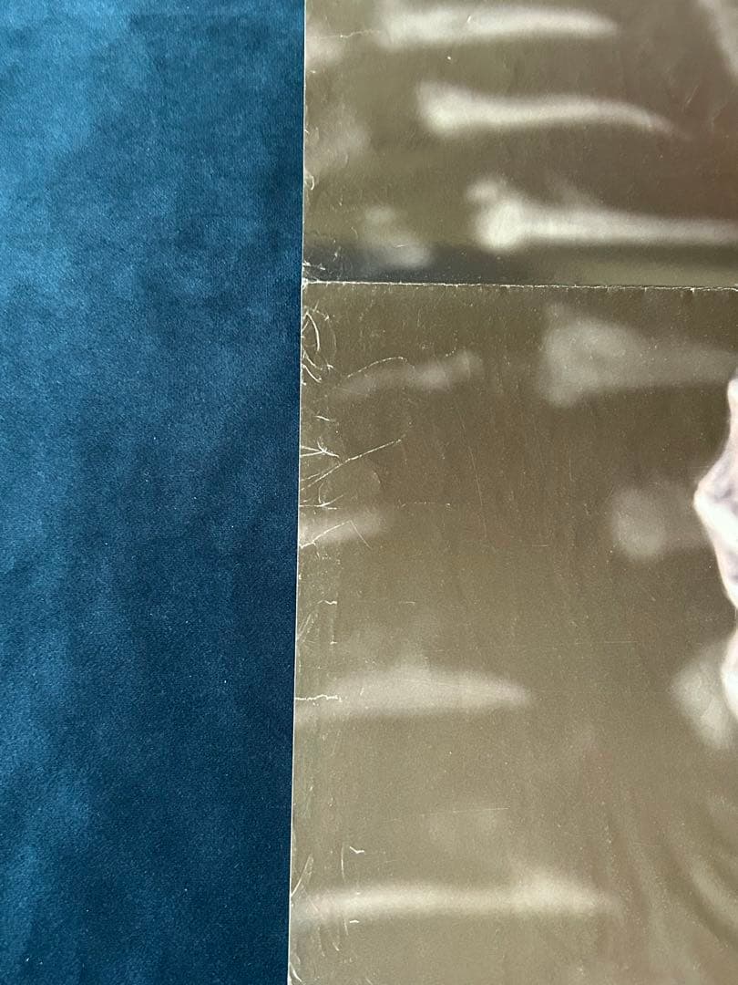 スピーシーズ　USオリジナル映画ポスター