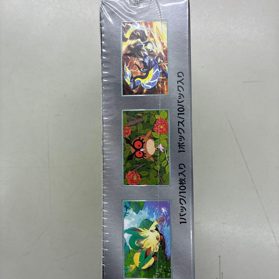 ポケモンカードテラスタルフェスexシュリンク付き