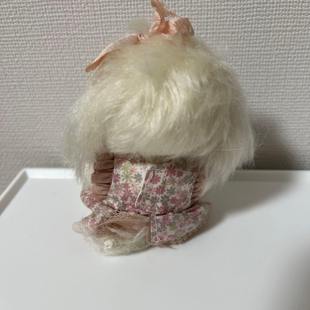 マルチーズ