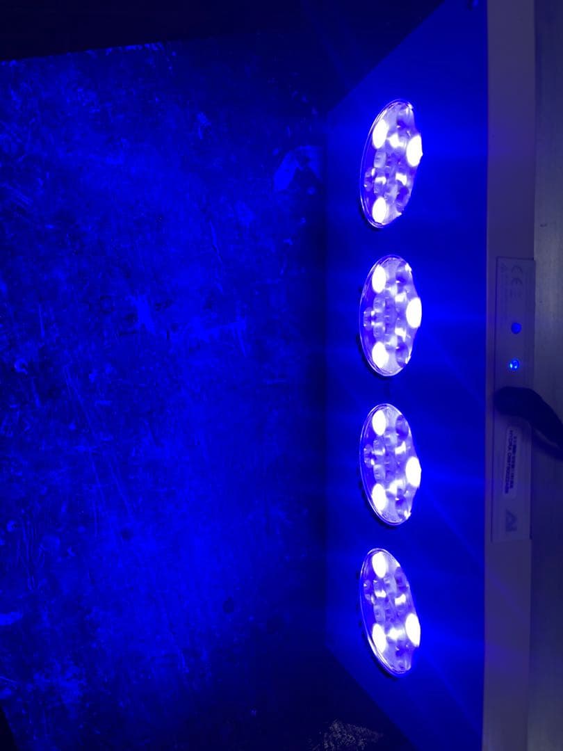 海水魚用品 AI HYDRA HD 52