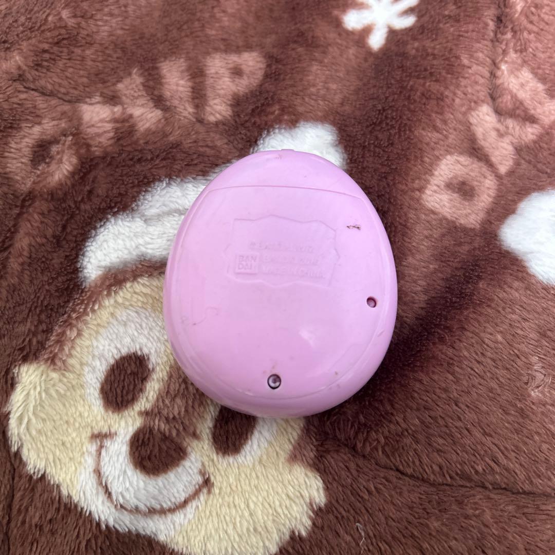 たまごっち