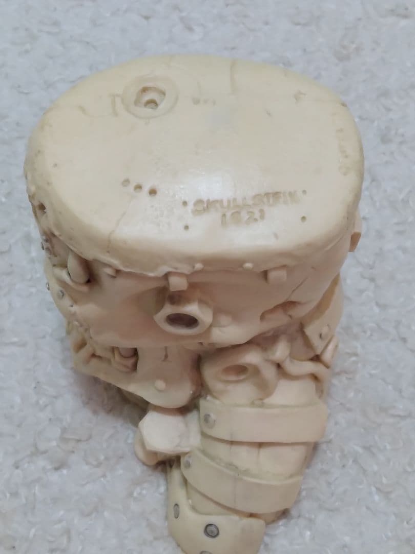 スカルステイン SKULL STEIN Yasushi Nirasawa