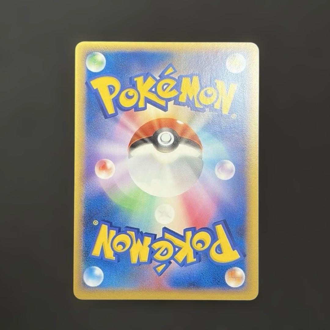 【希少ポケパーク限定】ポケモンカードゲーム フォレストシート プレミアムファイル