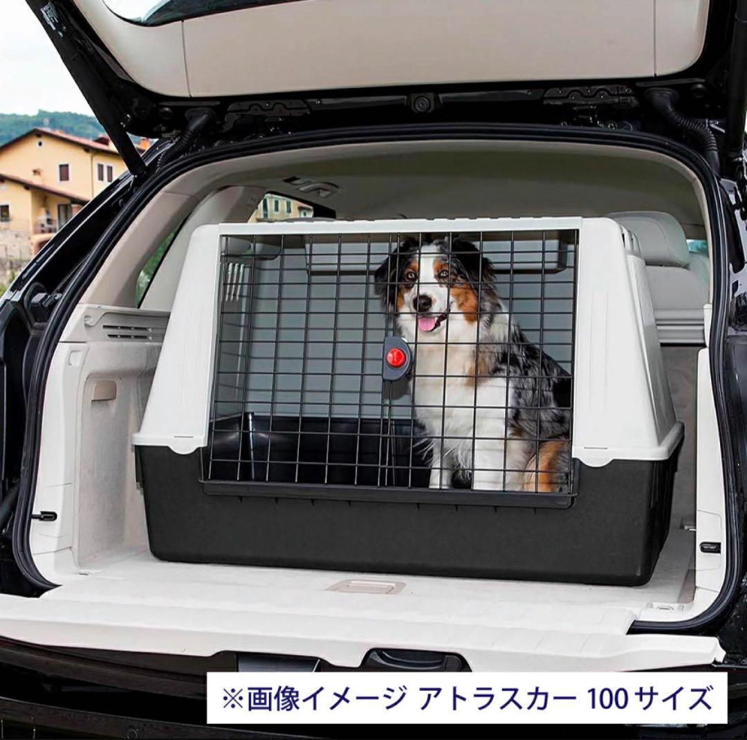 Kengo　ATLAS CAR 100 ケージ