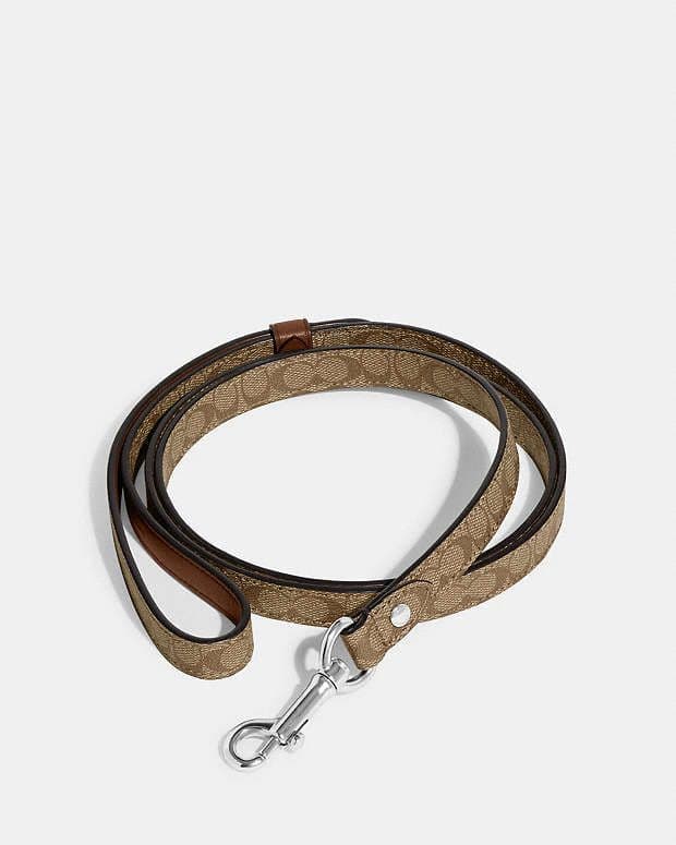 COACH　シグネチャーキャンバス　首輪とリード　犬