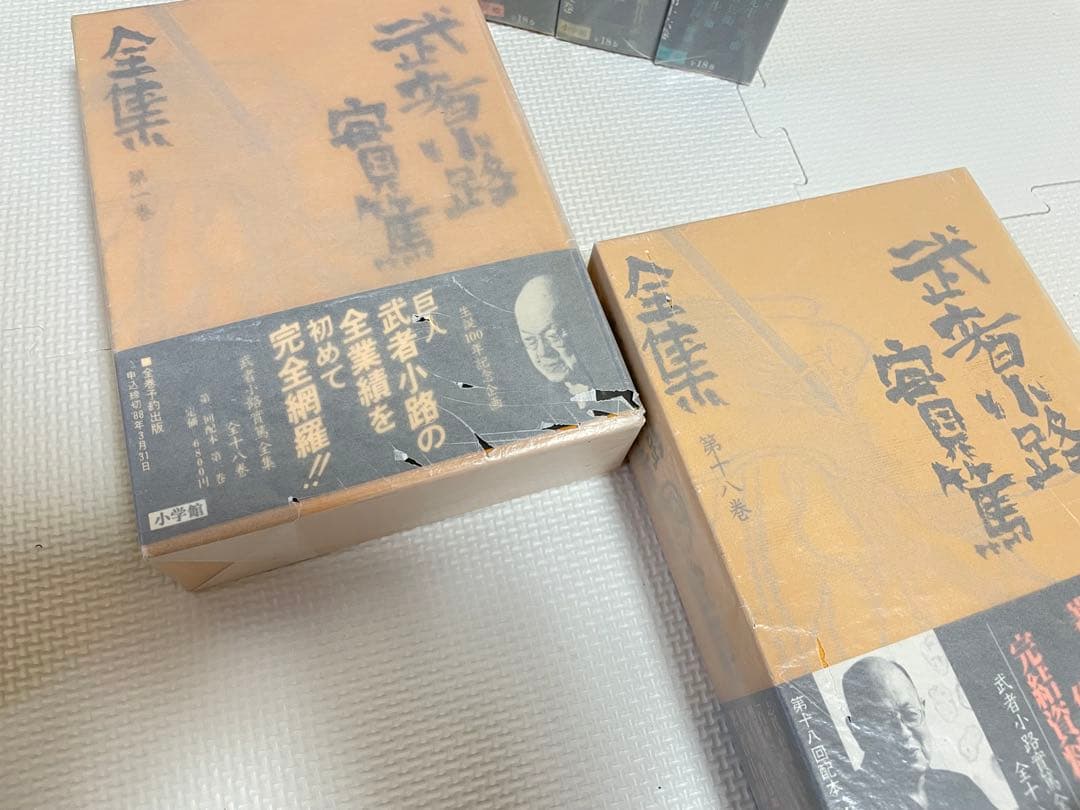 小学館 武者小路実篤 全集 全18巻