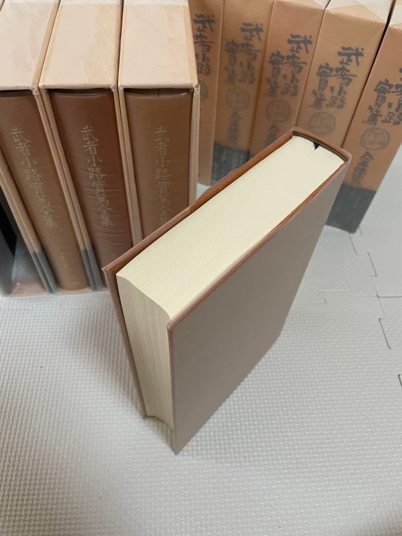 小学館 武者小路実篤 全集 全18巻