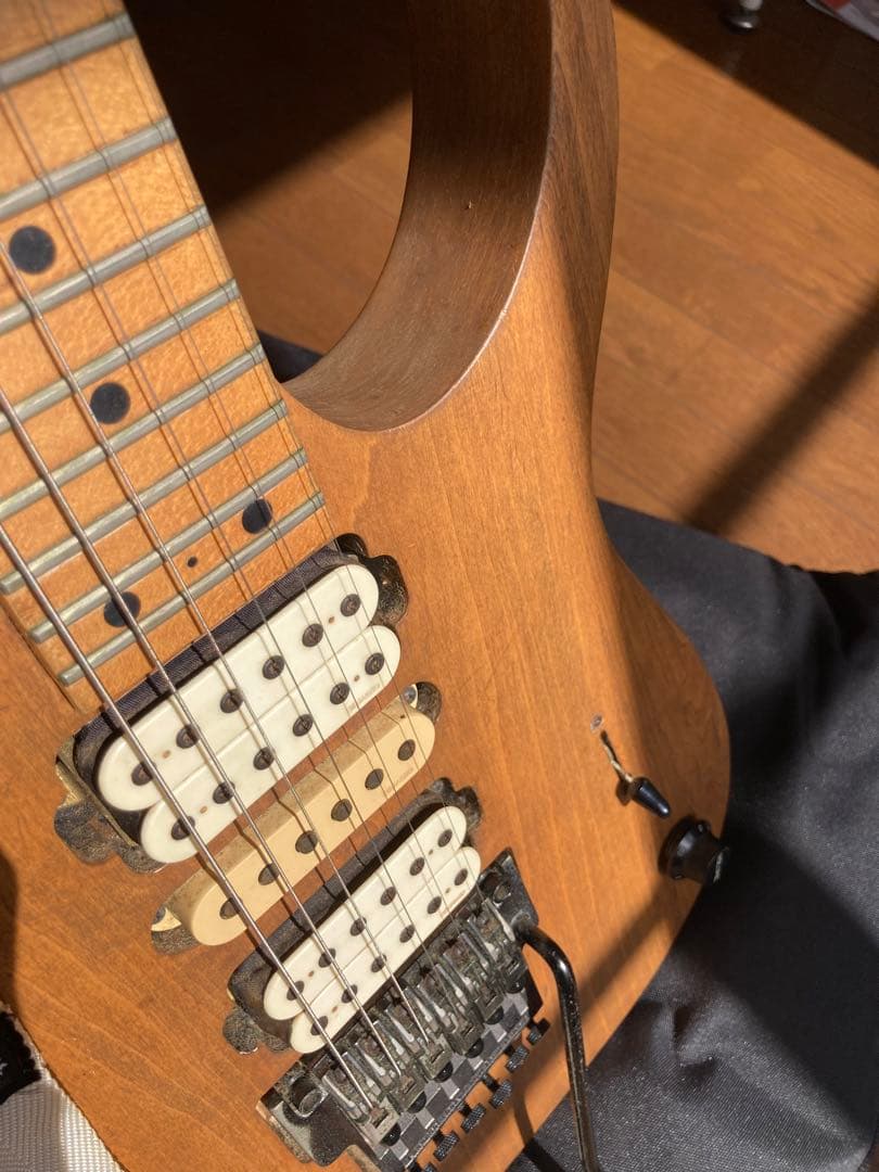 Ibanez PGM300 FUJIGEN ポールギルバート　MR.BIG