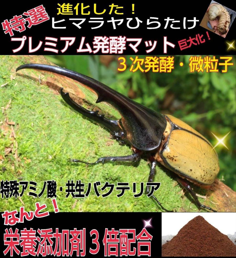 ヘラクレスがギネス級に！プレミアム3次発酵マット【50L】特殊アミノ酸強化配合！