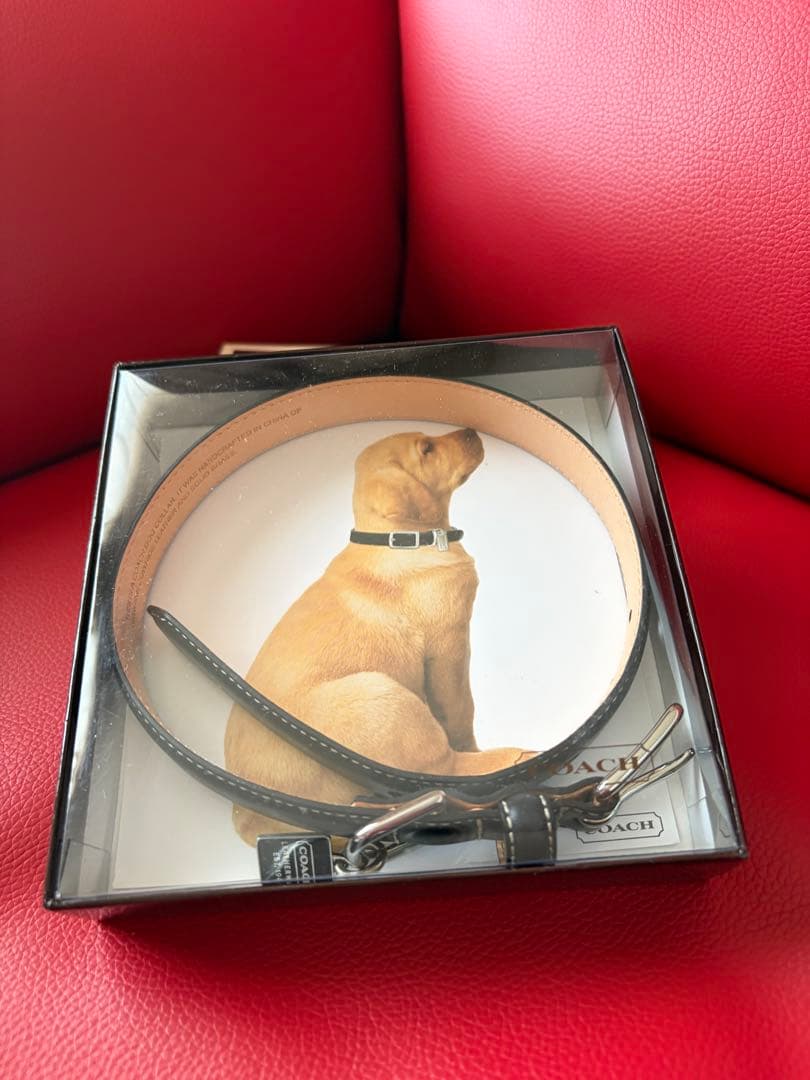 未使用COACHチャーム付犬用首輪&リード