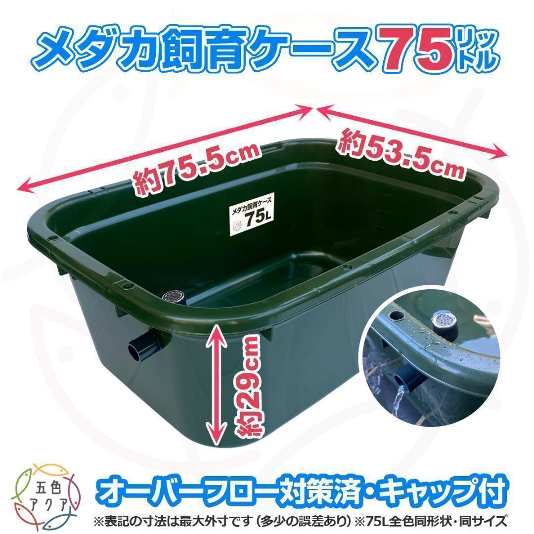 メダカ飼育ケース 75㍑x3個 黒・深緑あり オーバーフロー 金魚飼育容器