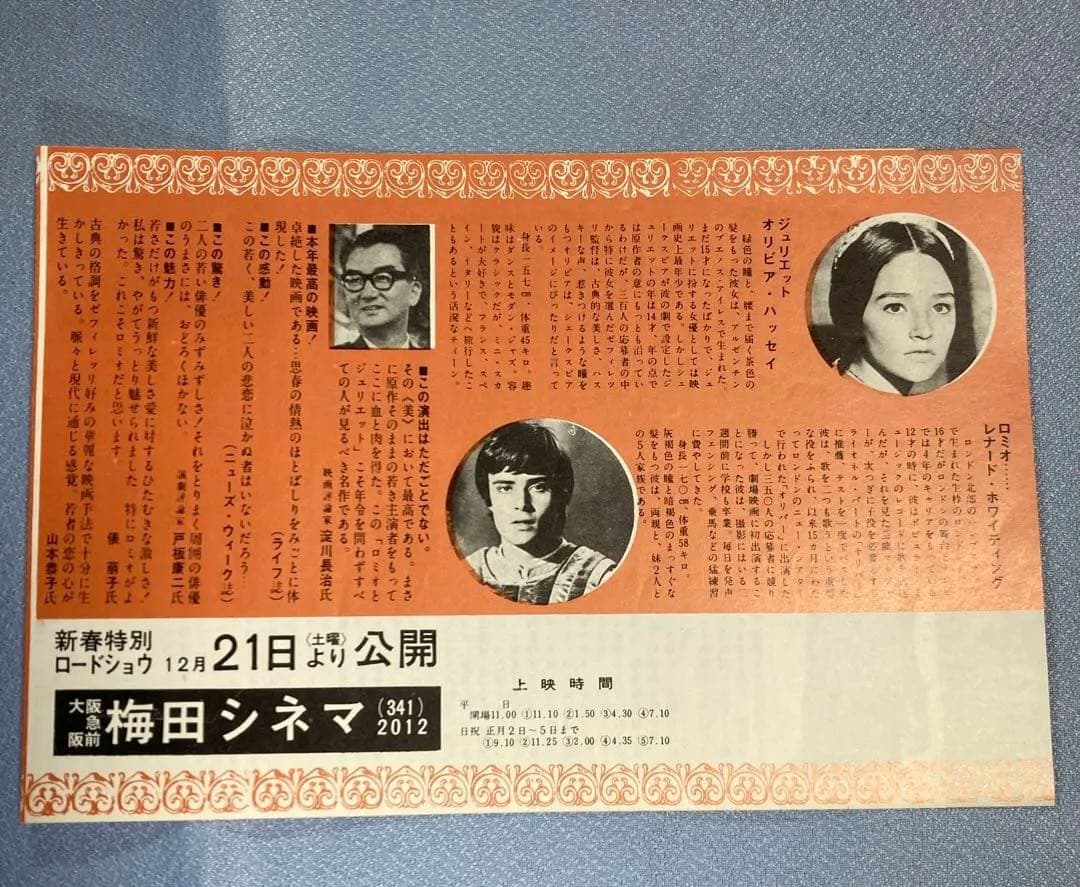 1968年　ロミオとジュリエット　映画　希少　チラシ & パンフレット