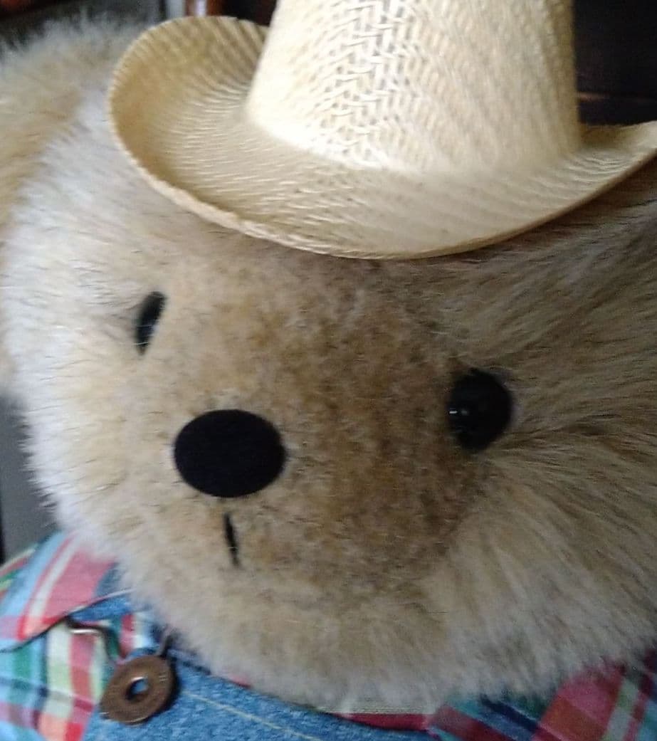 最終価格　クマさんのぬいぐるみ♥Bears and Bedtimes