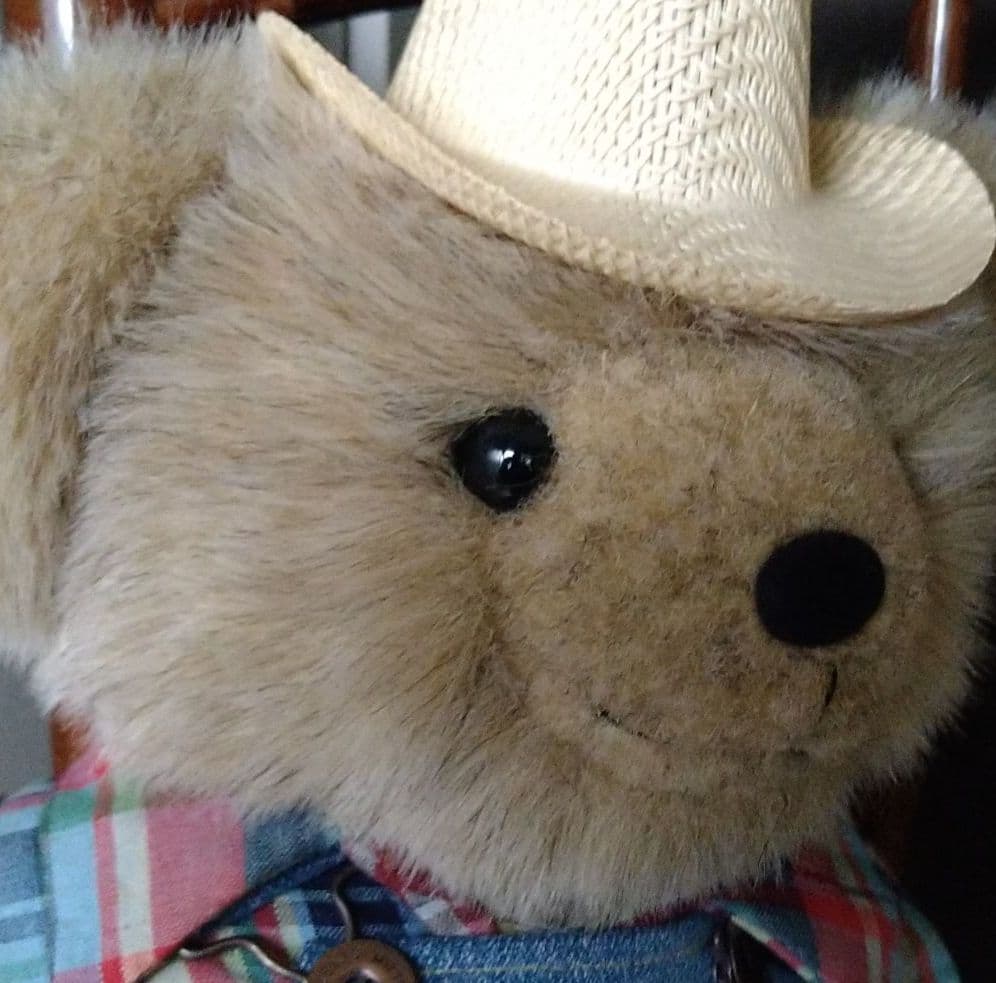 最終価格　クマさんのぬいぐるみ♥Bears and Bedtimes