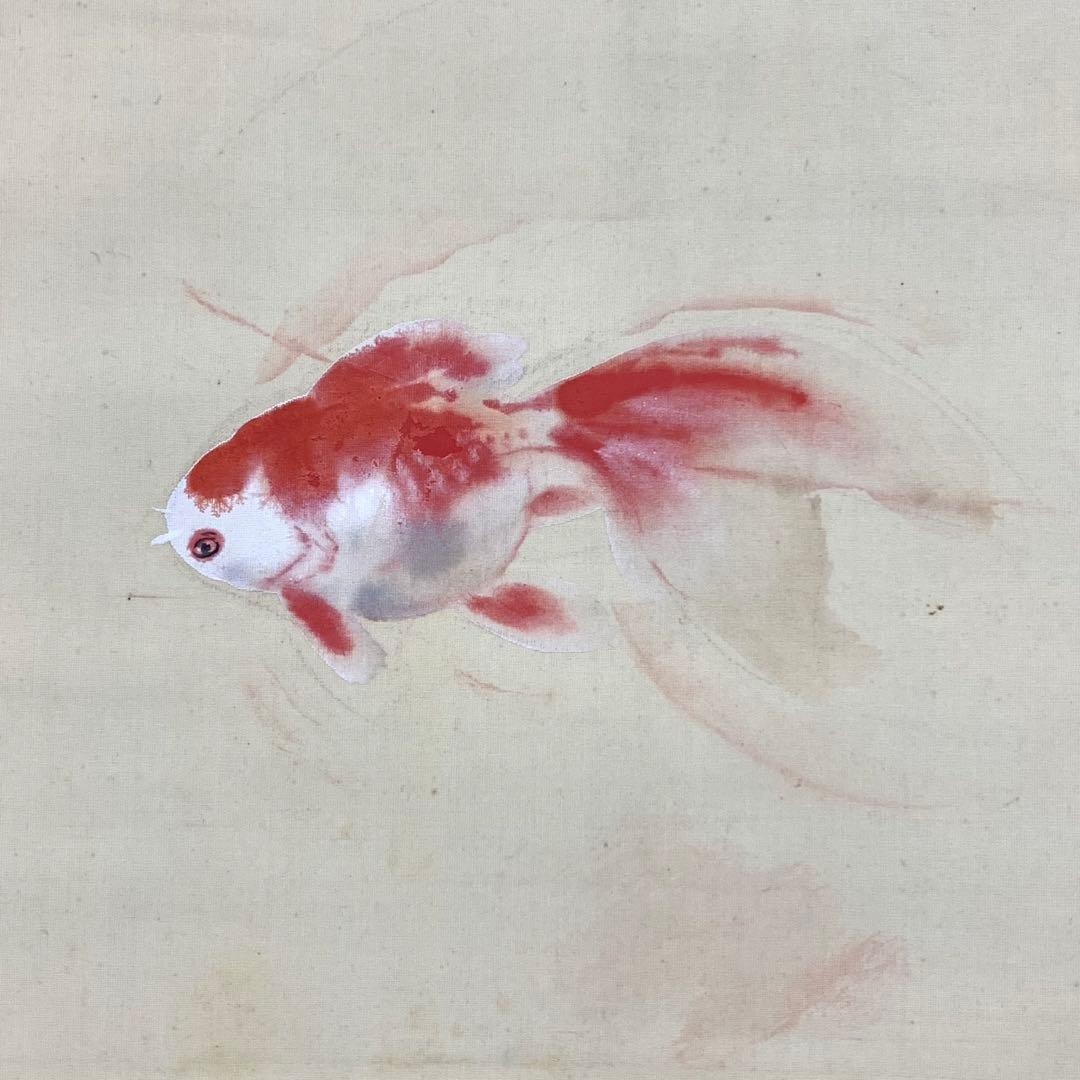 掛軸 北上聖牛 金魚 共箱 6-15