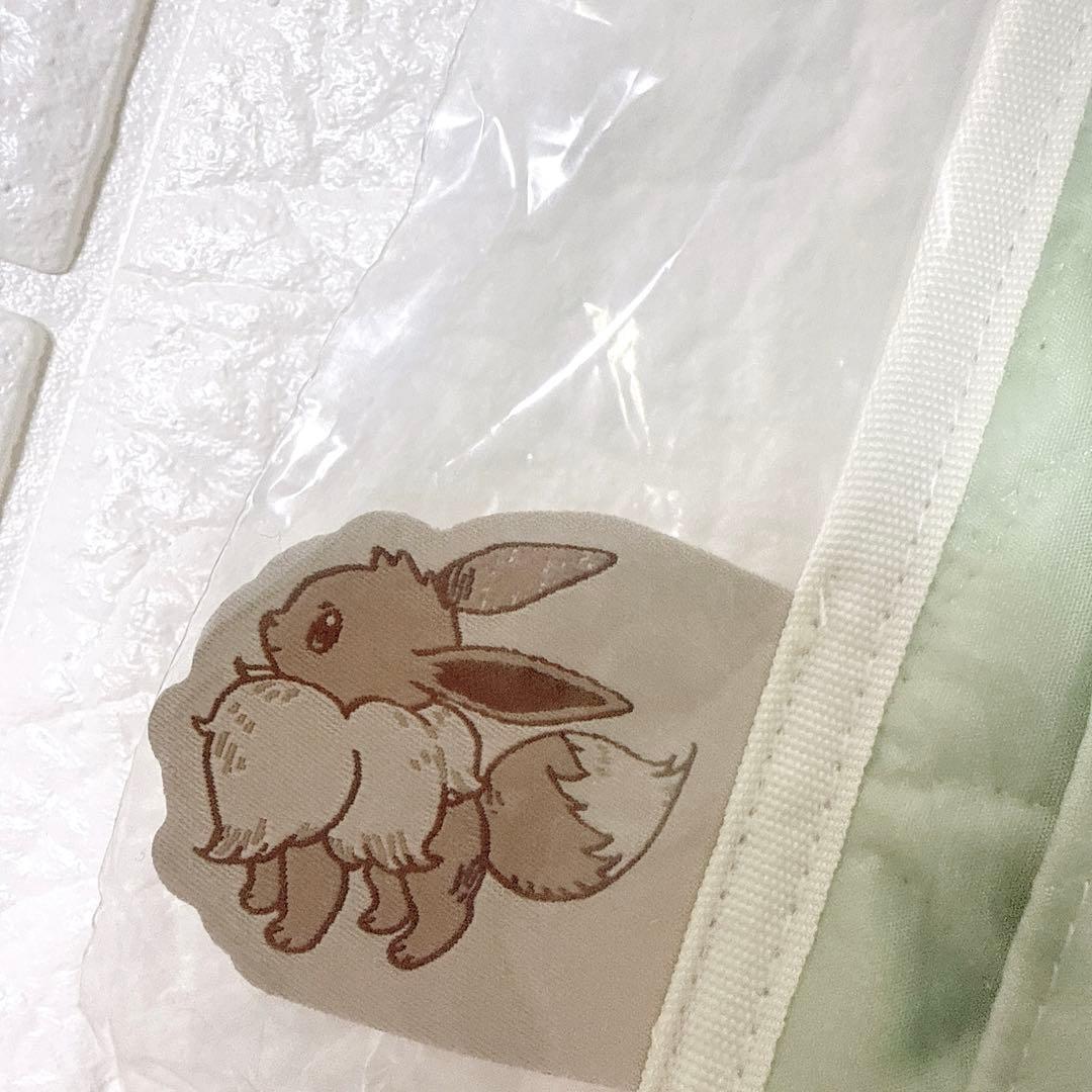 ウォールポケット Eevee Collection イーブイコレクション