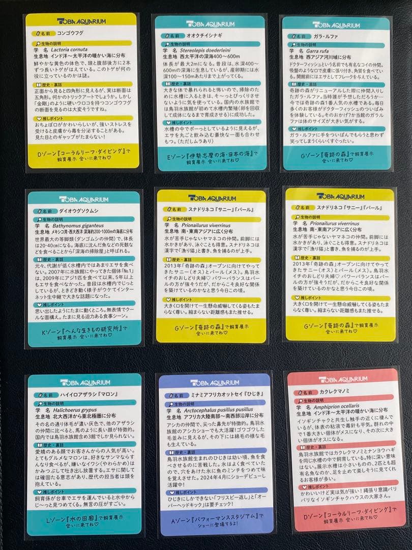 バラ売り 一枚300円 ２枚目以降100円 鳥羽水族館 コレクションカード