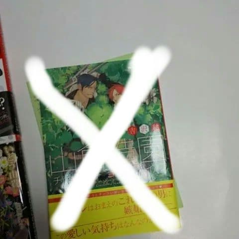 BL小説 色々　バラ売り　BL文庫