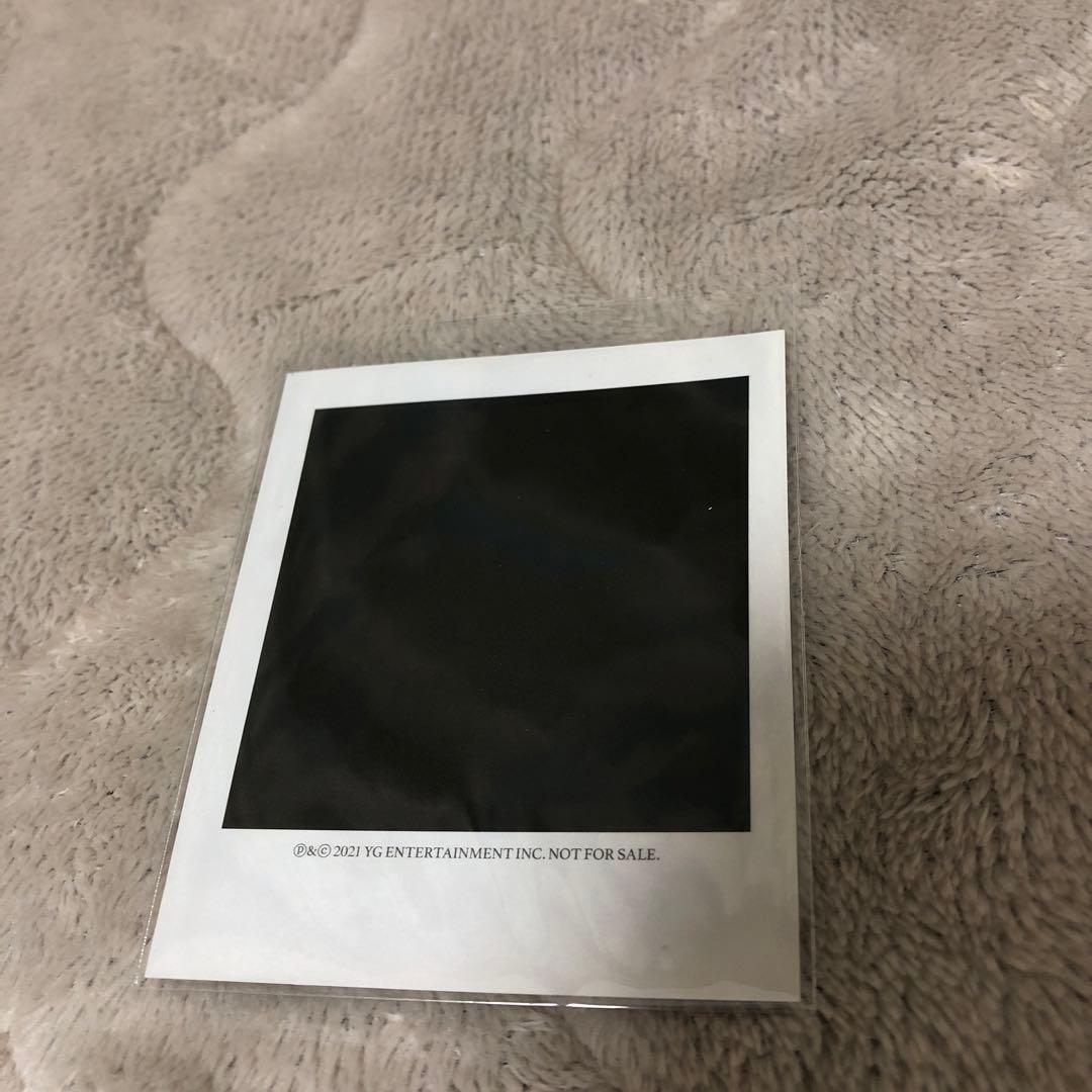 Blackpinkロゼ