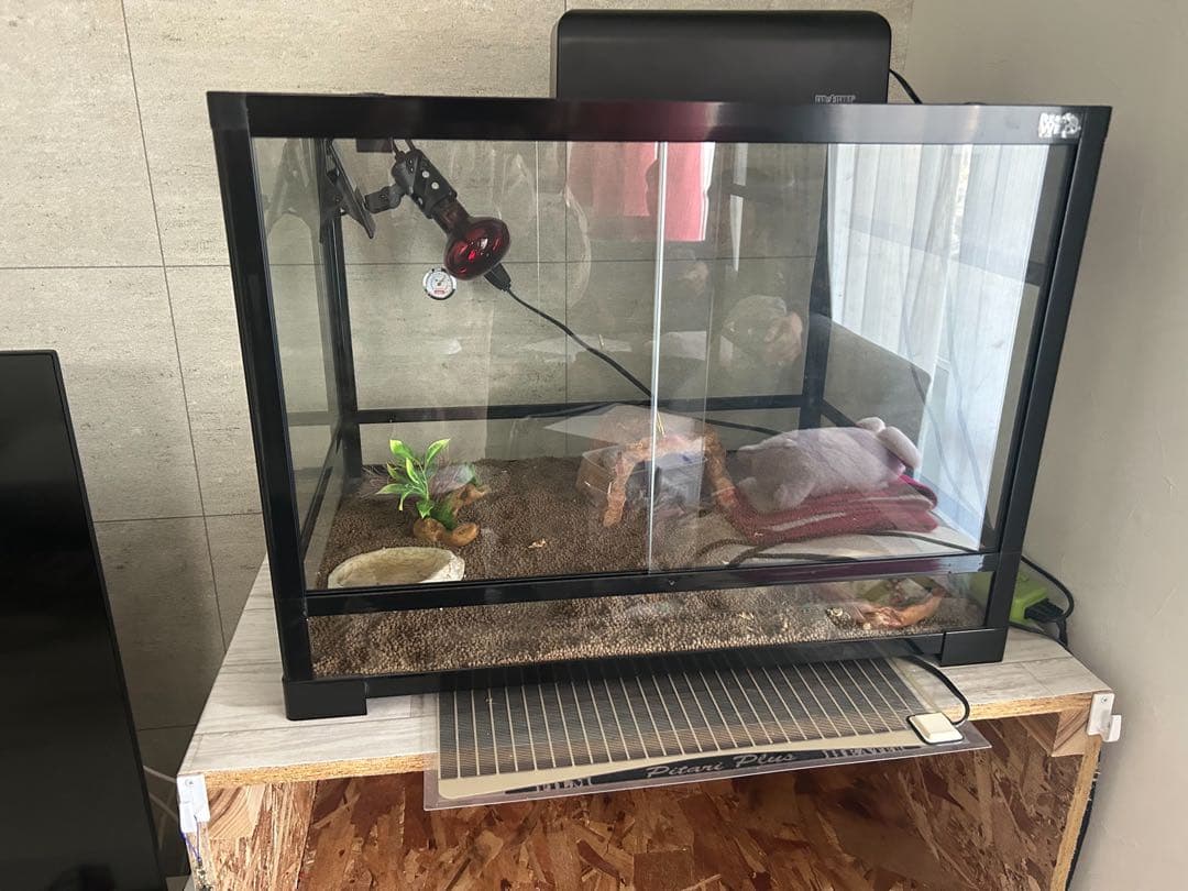 熱帯魚、爬虫類ゲージ