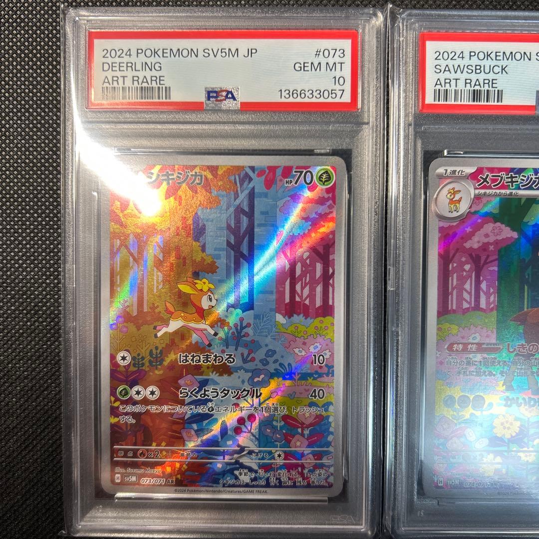 シキジカ　メブキジカ　AR PSA10 連番