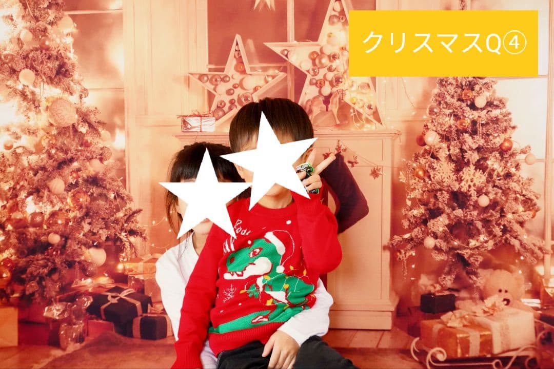 紅葉　背景布秋XD①　ペット撮影用　80×120cm　トリミングチョーカー販売中
