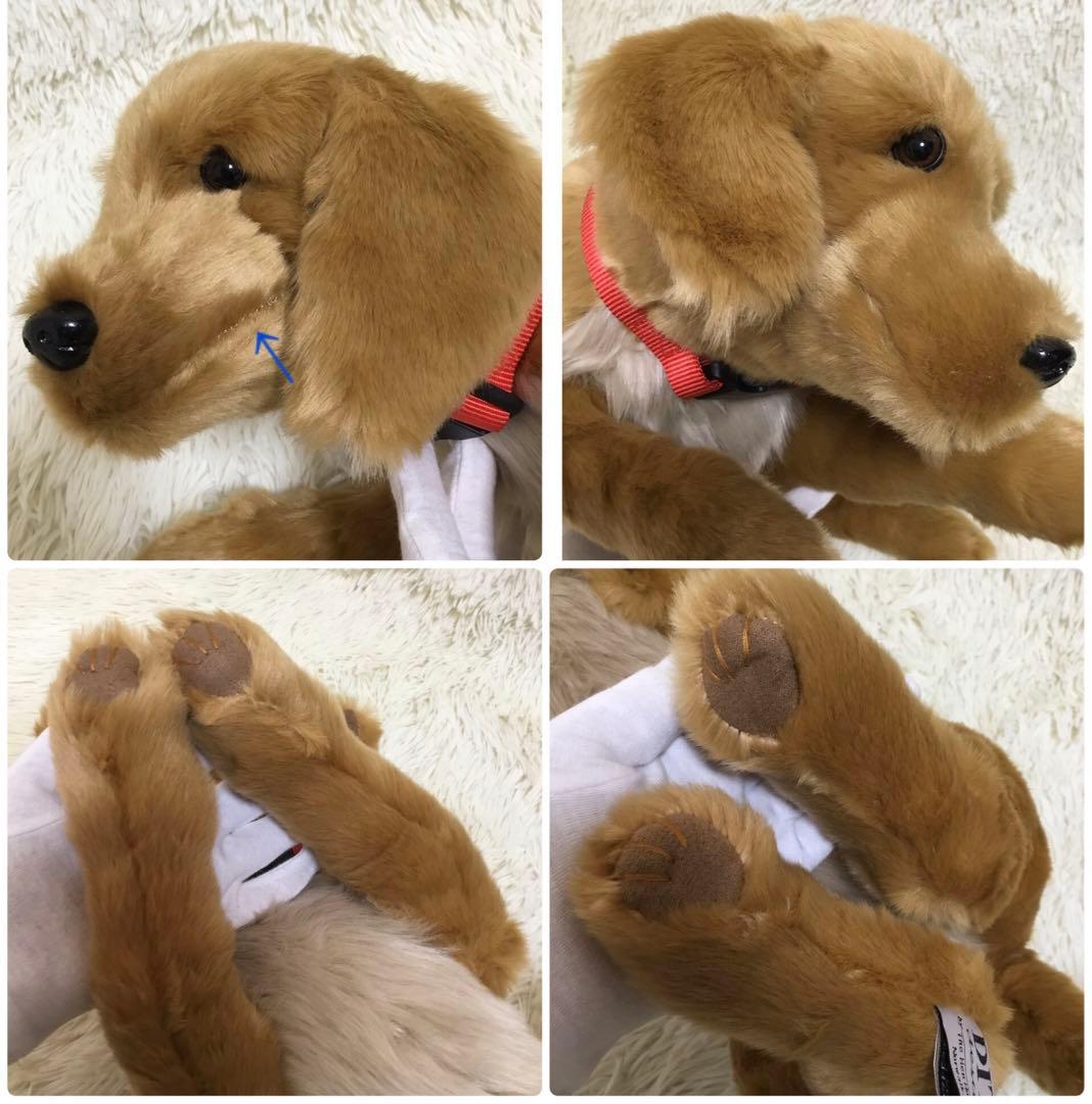 ★希少 新品 DITZ ディッツ ハルモニア ぬいぐるみ ゴールデンレトリバー