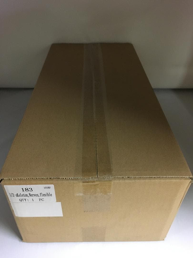 1/2サイズの全身骨格模型 約85cm 骨格モデル 動かせる大関節 人体模型