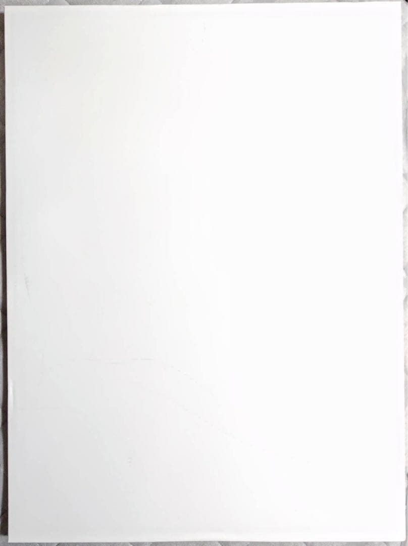 西川伸司 直筆サイン入り 複製原画 SSSS.DYNAZENON 限定品 ちせ