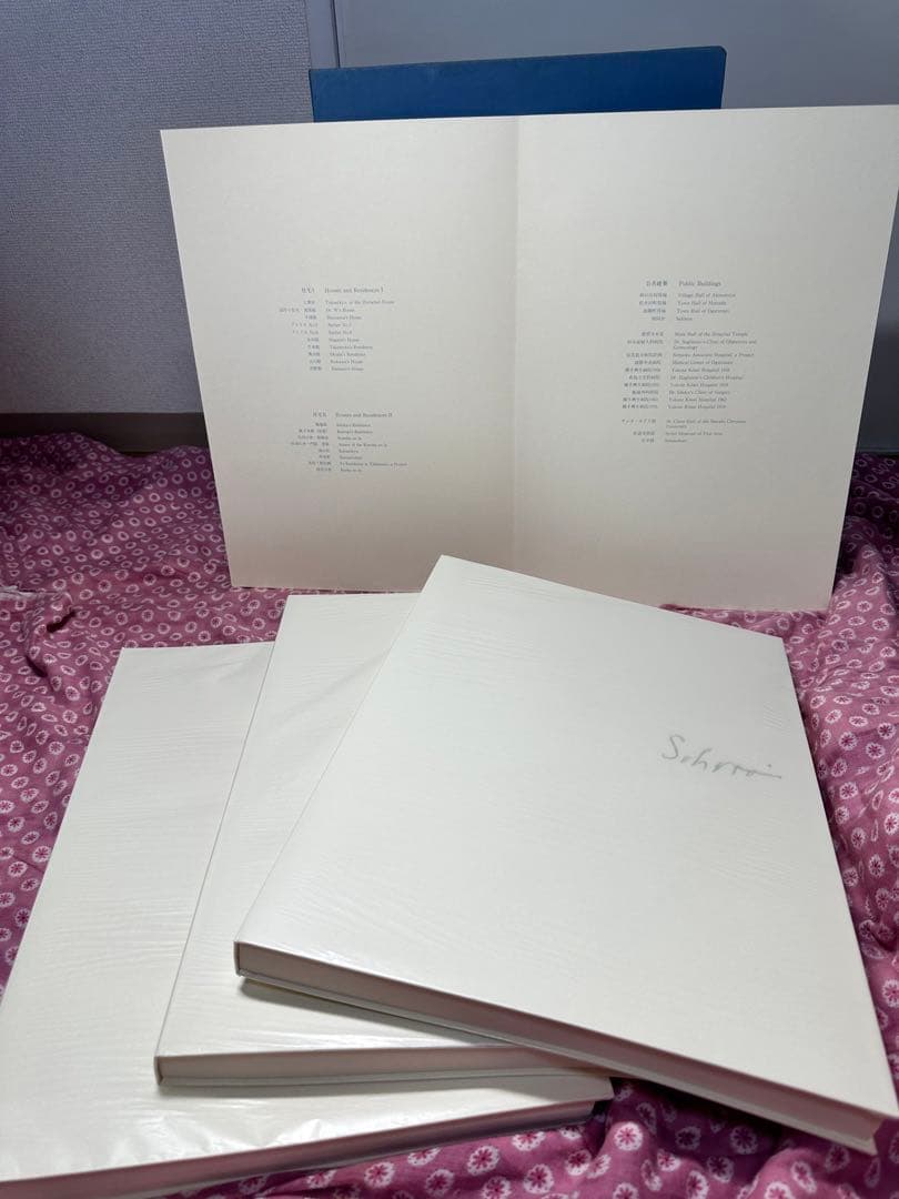 白井晟一　SEIITI SIRAI COMPLETE WORKS I