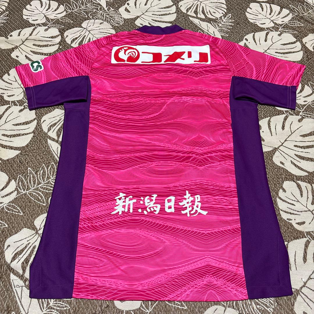 adidas(アディダス)Jリーグ　アルビレックス新潟2021 GKユニ　3rd