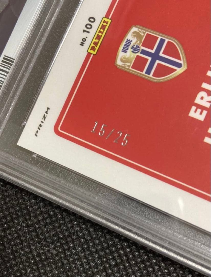 ERLING HAALAND ハーランド PANINI DONRUSS /25