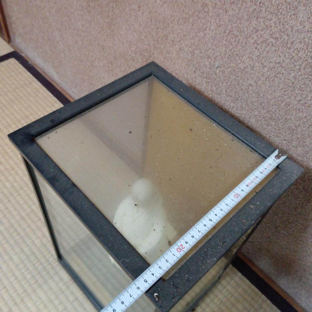 白い陶器製人形