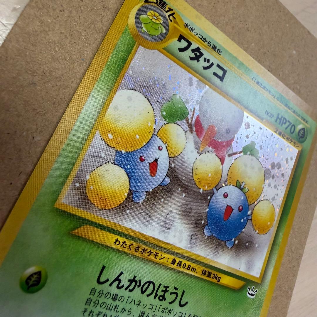 ワタッコ、カメックス、フシギバナ