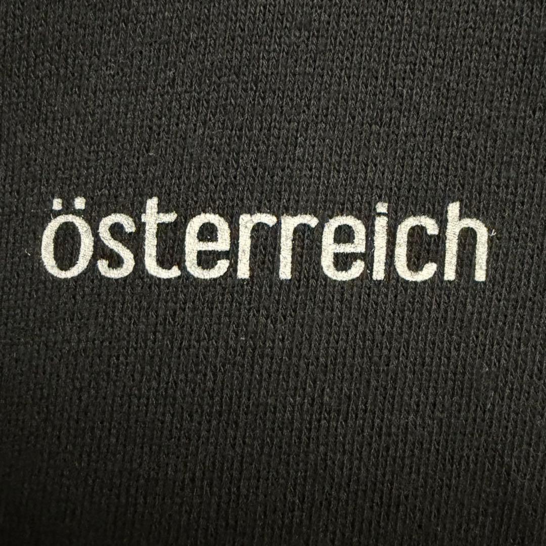 一点物 稀少デザイン ビッグサイズ　österreich 石田スイ フーディー