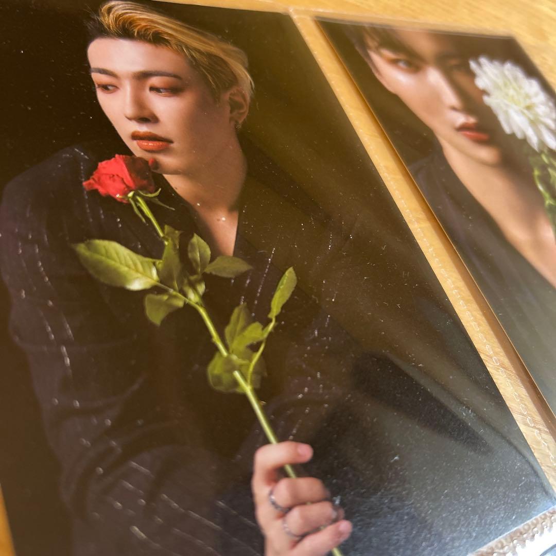 ATEEZ scawaii ポストカード コンプ 8枚セット