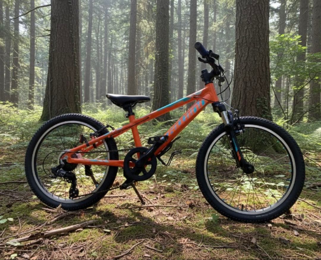 SCHWINN MTB 「MESA20」20インチ　引き取り限定