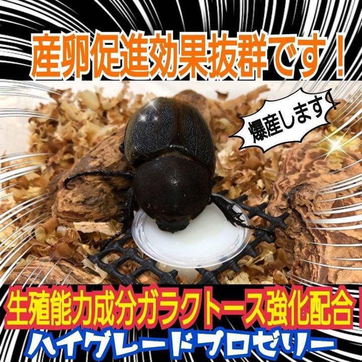 特選ハイグレードプロゼリー500個　産卵促進・長寿に抜群！食べやすいワイドカップ