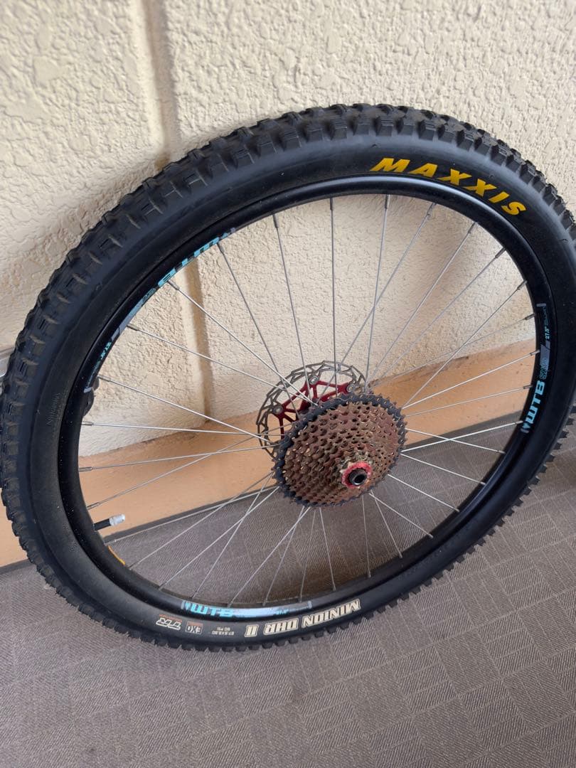 パーツ WTB SX19