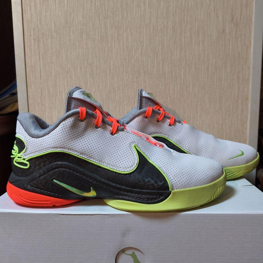 シューズ(男性用) LEBRON22 29cm
